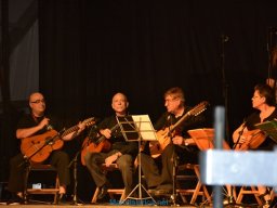 Festival de Folkore en Mula